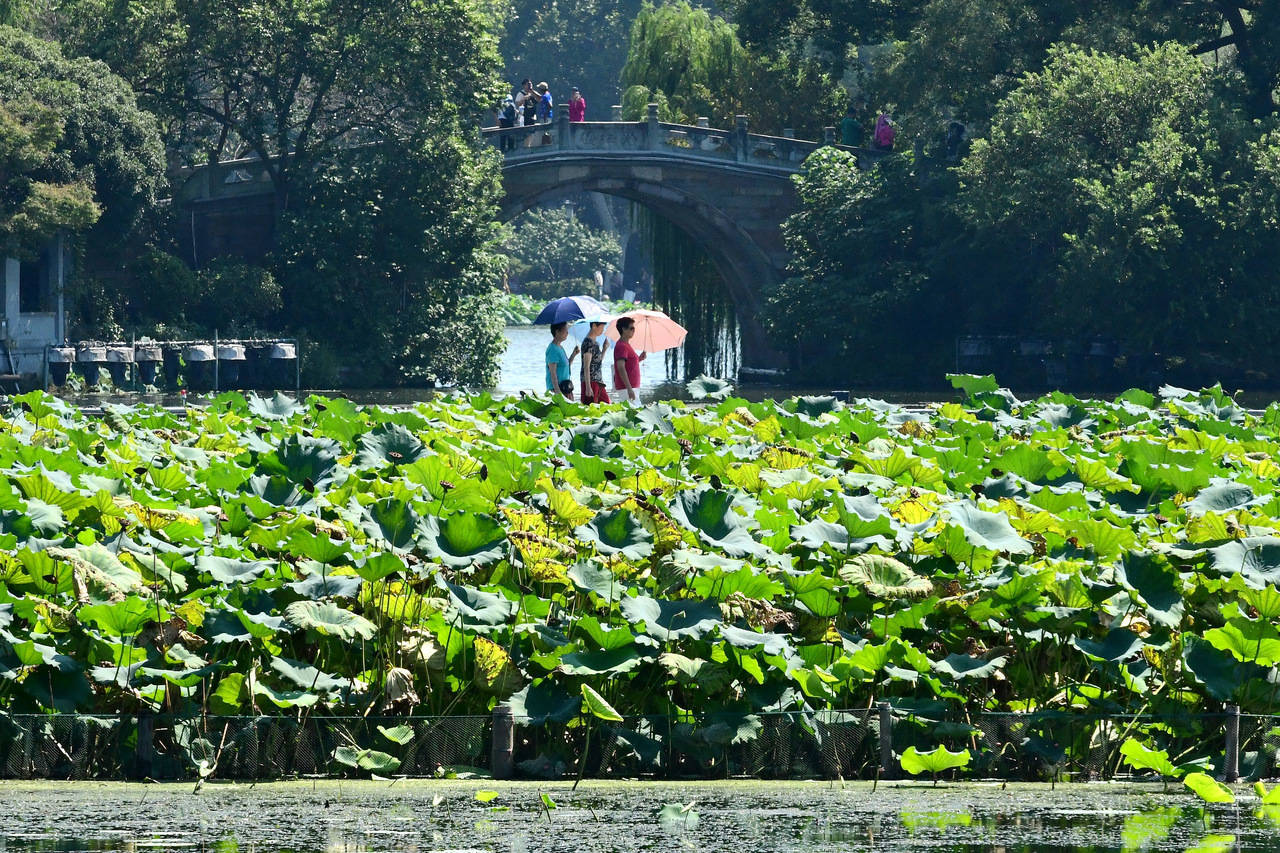 “三台共舞”对浙江有何影响?周末又有冷空气<strong></p>
<p>同济科技股票</strong>,气温舒适