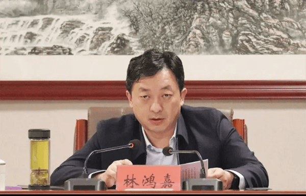 鹤壁市委常委、常务副市长林鸿嘉落马<strong></p>
<p>股票怎么买新手入门</strong>，一个月前被罢免