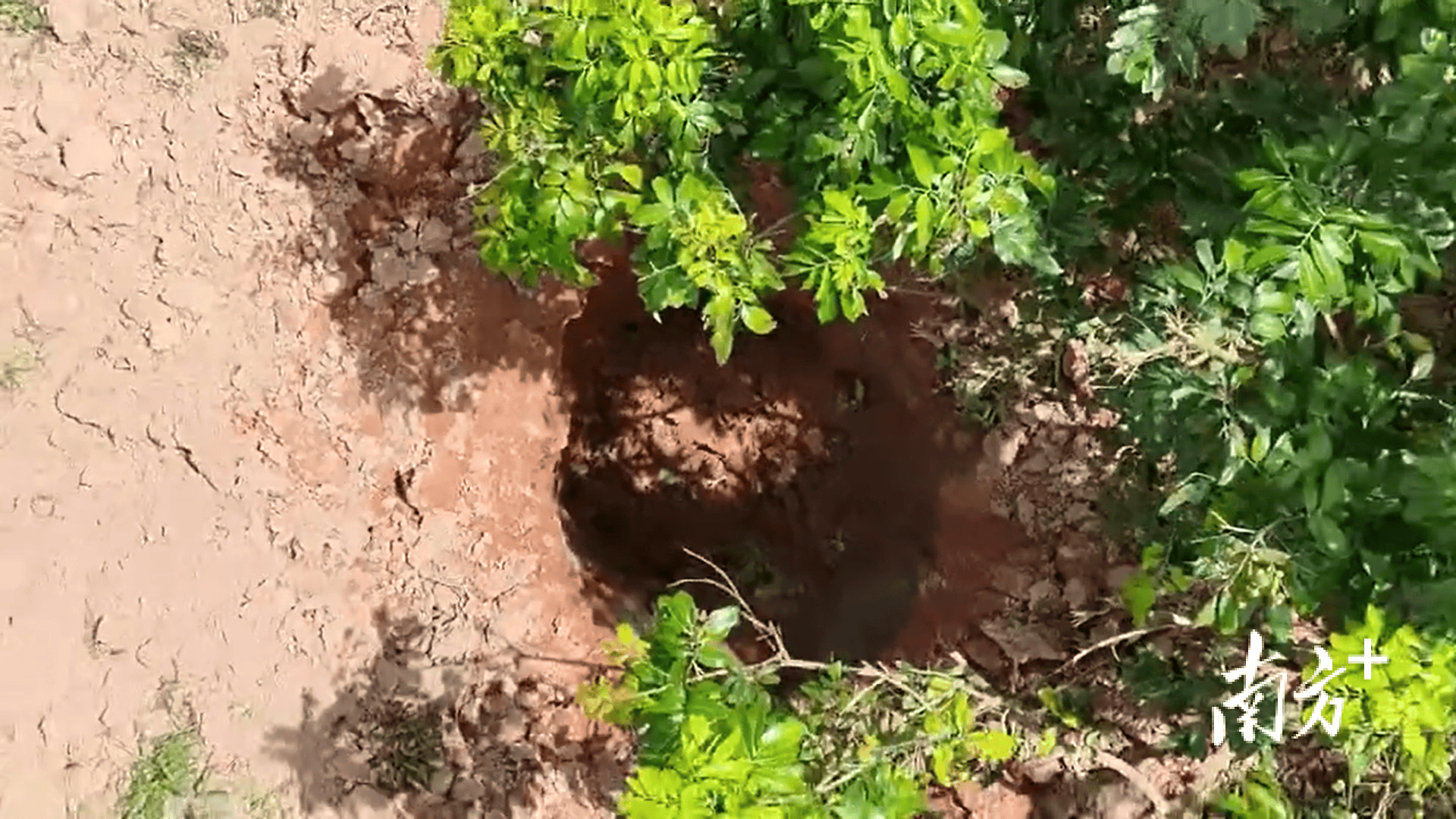 423公斤陨石在茂名电白挖出<strong></p>
<p>百大集团股票</strong>,系国内目击降落第二大单体陨石