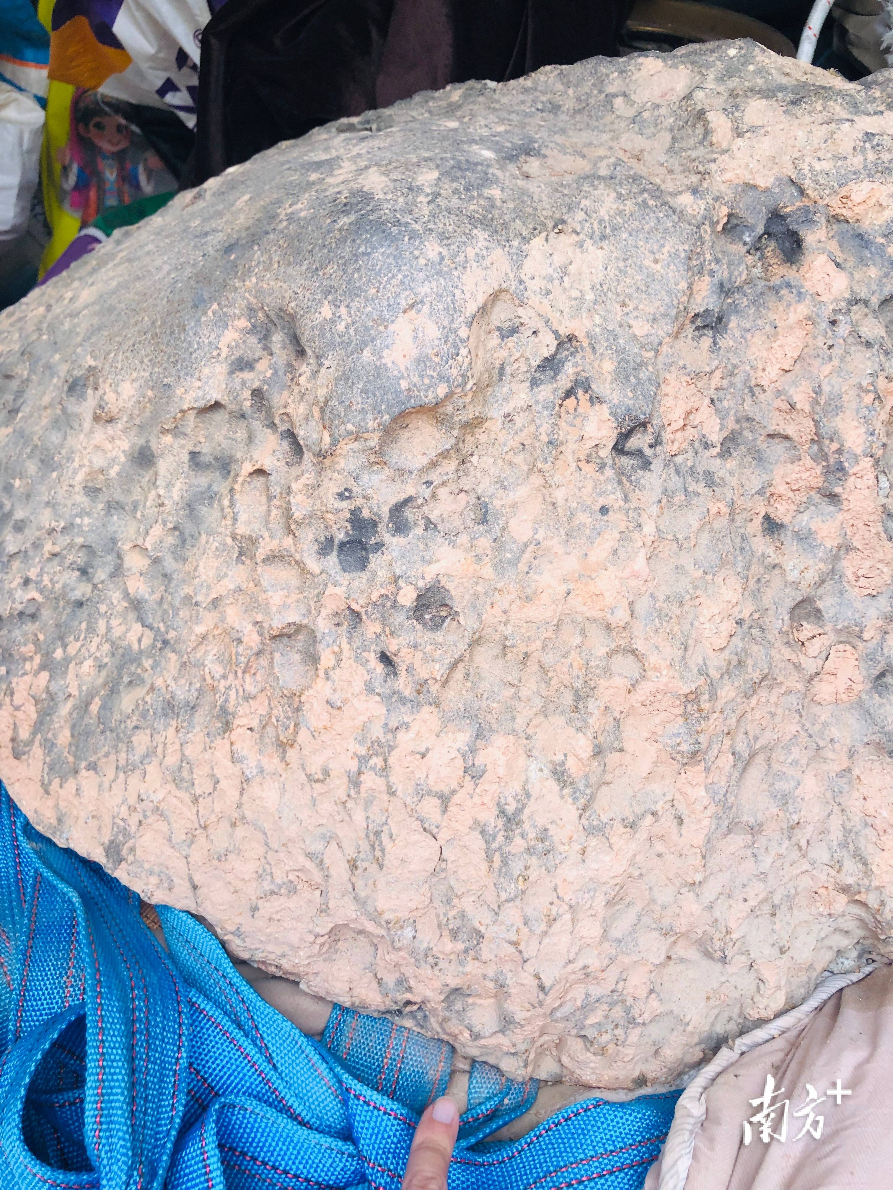 423公斤陨石在茂名电白挖出<strong></p>
<p>百大集团股票</strong>,系国内目击降落第二大单体陨石