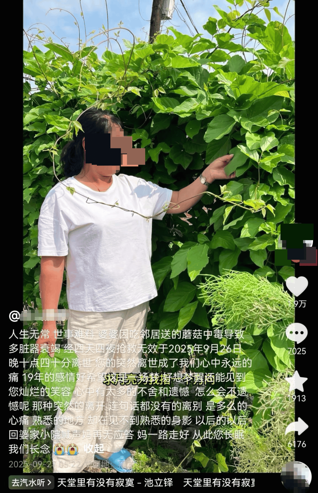网红发文悼念婆婆:吃了邻居送的蘑菇中毒<strong></p>
<p>鱼跃医疗股票</strong>,抢救四天四夜死亡!这些蘑菇避毒原则可能是陷阱→