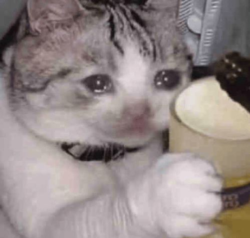 “不亚于春节回家”!凌晨5点<strong></p>
<p>旗滨集团股票</strong>,深圳有人已经堵在路上……