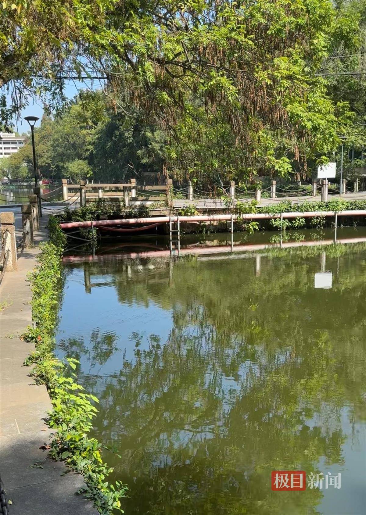 对话鸡排哥李俊永:爆火后每天一二十个镜头对着我<strong></p>
<p>旗滨集团股票</strong>,未来不考虑直播带货,更愿意和顾客待在一起