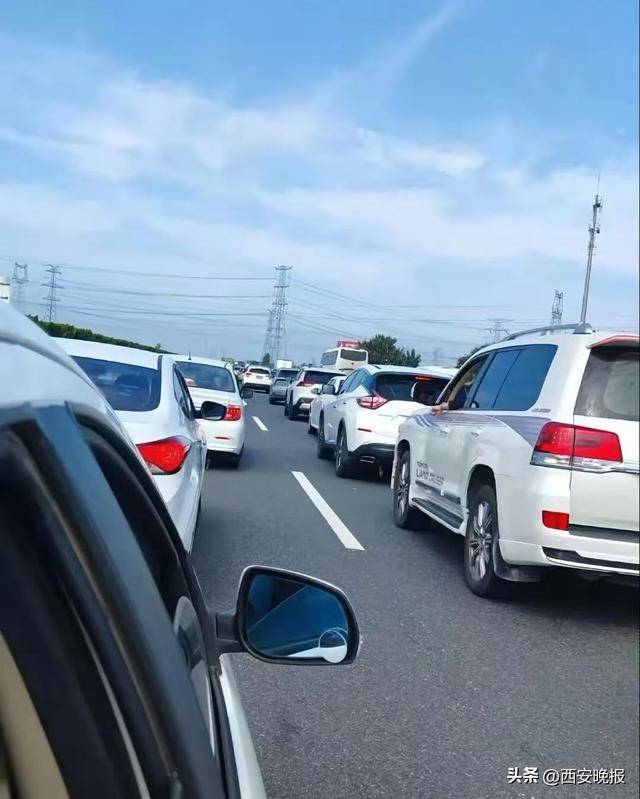 “聪明的人已经提前出发了”<strong></p>
<p>旗滨集团股票</strong>,结果高速上全是聪明人!