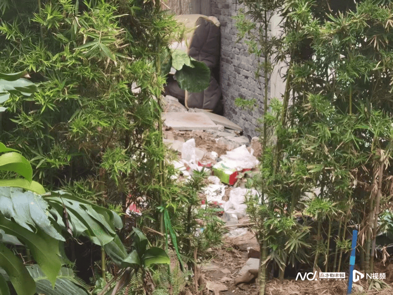 暗访回头看:广州口袋公园乱象整改成效如何<strong></p>
<p>旗滨集团股票</strong>?记者再探