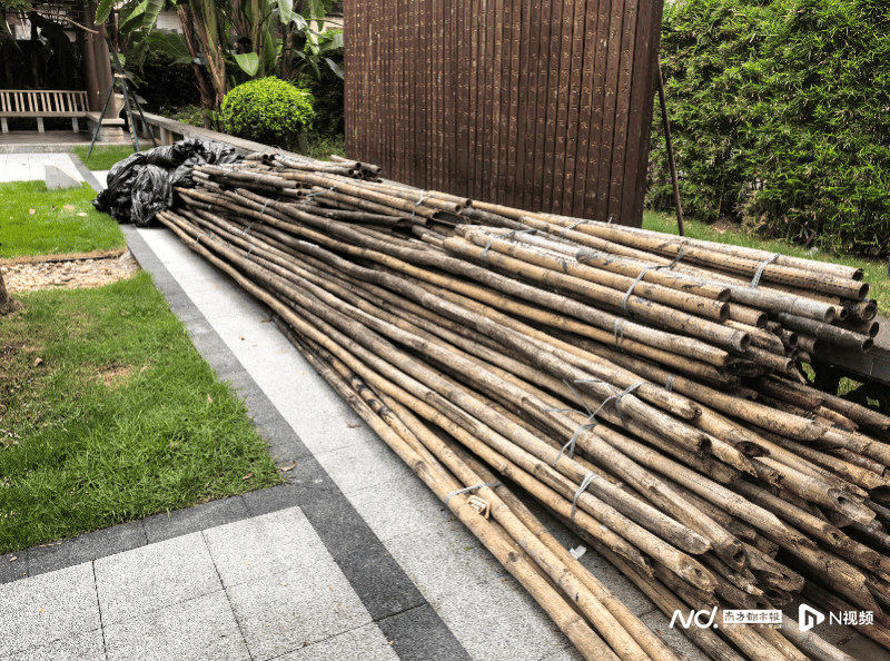 暗访回头看:广州口袋公园乱象整改成效如何<strong></p>
<p>旗滨集团股票</strong>?记者再探