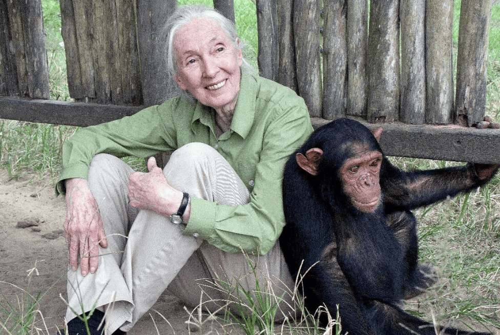 91岁传奇女科学家去世：没学士学位的剑桥博士<strong></p>
<p>天桥起重股票</strong>，科学发现颠覆人类认知，每年300天全球演讲