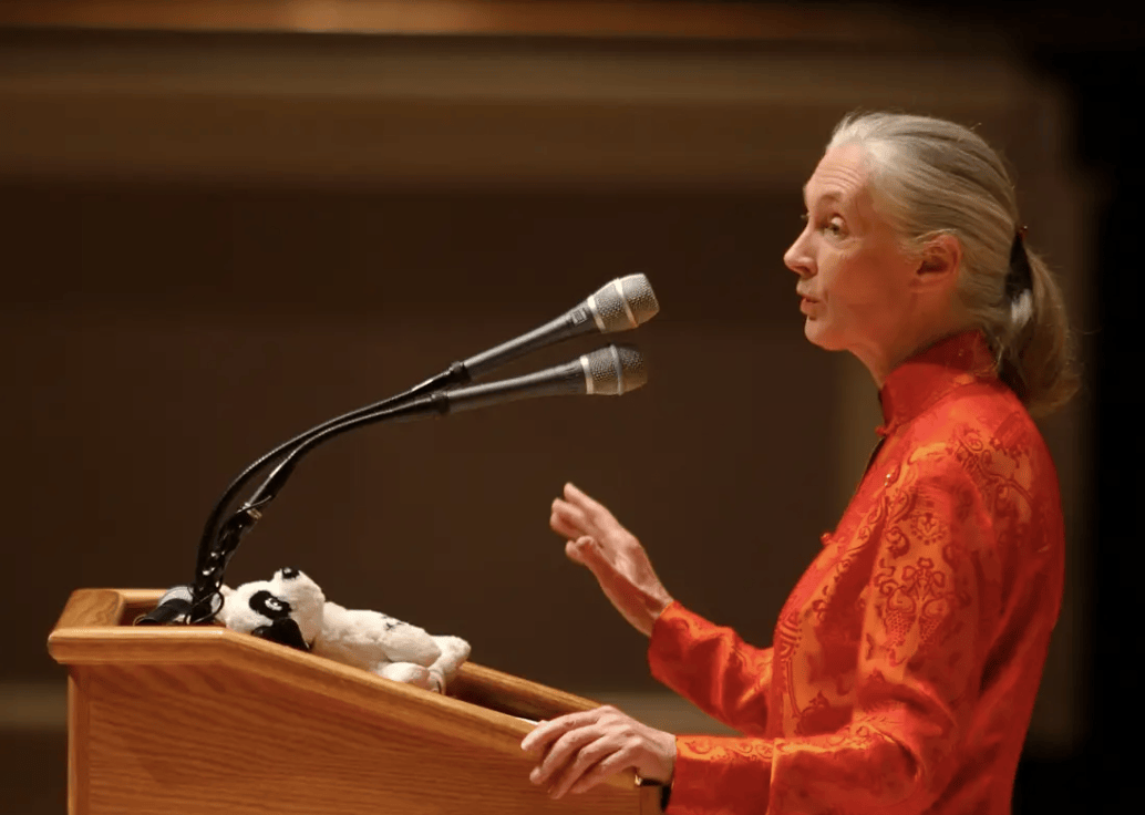 91岁传奇女科学家去世：没学士学位的剑桥博士<strong></p>
<p>天桥起重股票</strong>，科学发现颠覆人类认知，每年300天全球演讲