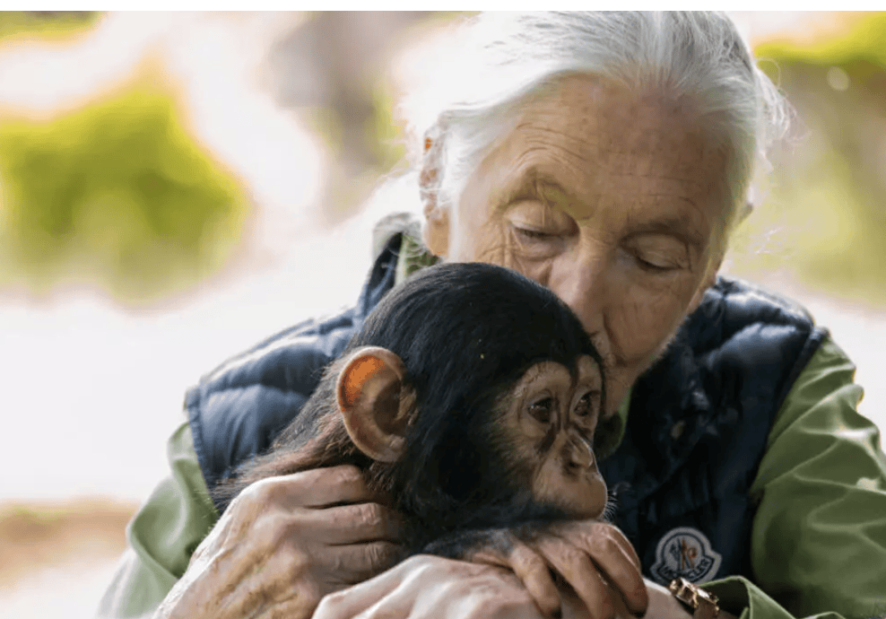 91岁传奇女科学家去世：没学士学位的剑桥博士<strong></p>
<p>天桥起重股票</strong>，科学发现颠覆人类认知，每年300天全球演讲