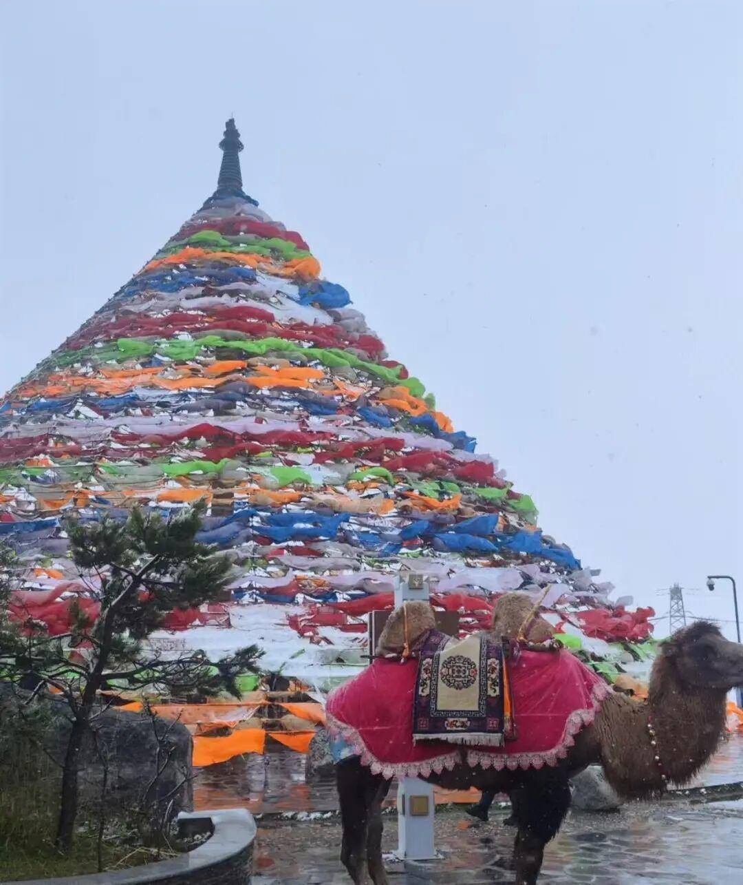 多地突降大雪<strong></p>
<p>天桥起重股票</strong>！