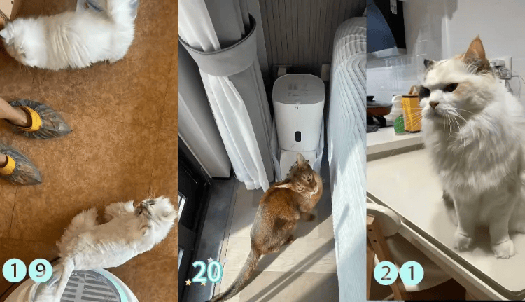 这个需求激增!一男子连接270单<strong></p>
<p>酒鬼酒股票</strong>,其中一笔收费8100元