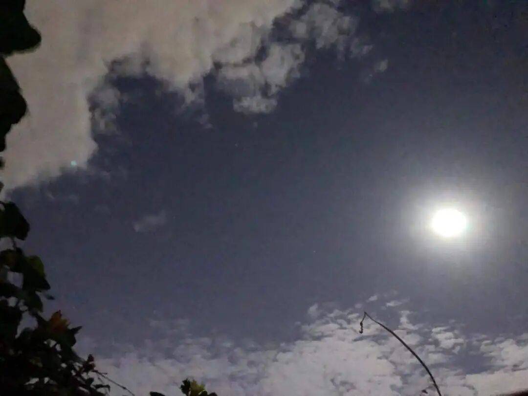 没有什么能阻挡!今天<strong></p>
<p>酒鬼酒股票</strong>,广西人就是要回家!