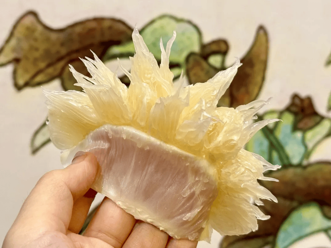 没有什么能阻挡!今天<strong></p>
<p>酒鬼酒股票</strong>,广西人就是要回家!