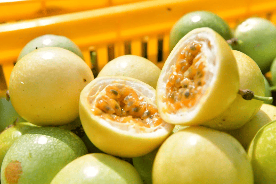 没有什么能阻挡!今天<strong></p>
<p>酒鬼酒股票</strong>,广西人就是要回家!