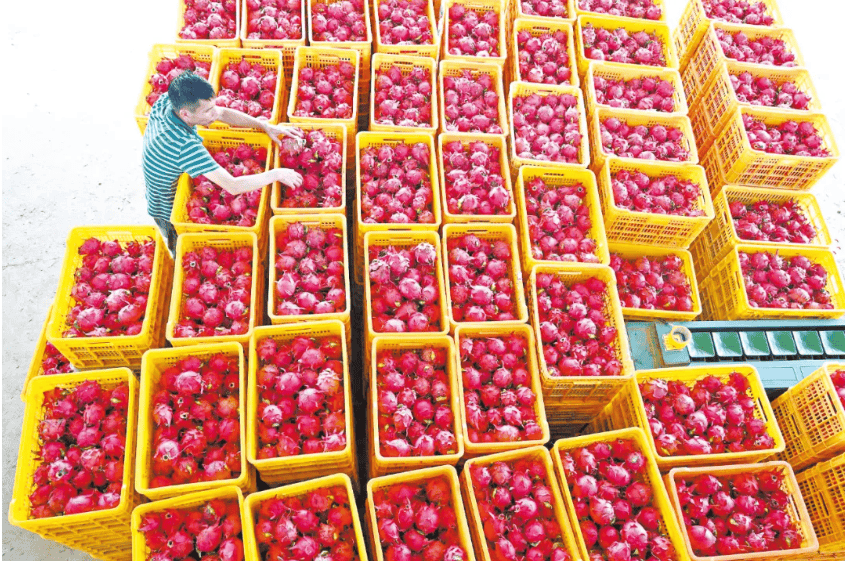 没有什么能阻挡!今天<strong></p>
<p>酒鬼酒股票</strong>,广西人就是要回家!