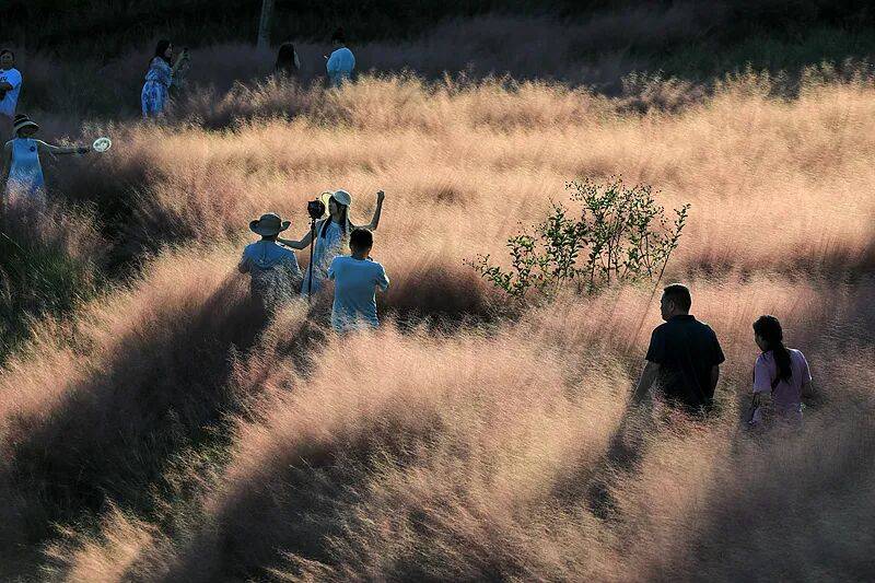 打卡拍照<strong></p>
<p>赢时胜股票</strong>,再美也不能用生命对焦