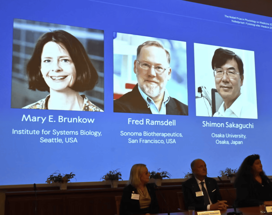 断联诺奖得主联系上了!当时在露营被大雪困住<strong></p>
<p>攀钢钒钛股票</strong>,得知获奖时在遛狗,第一反应“不可能”