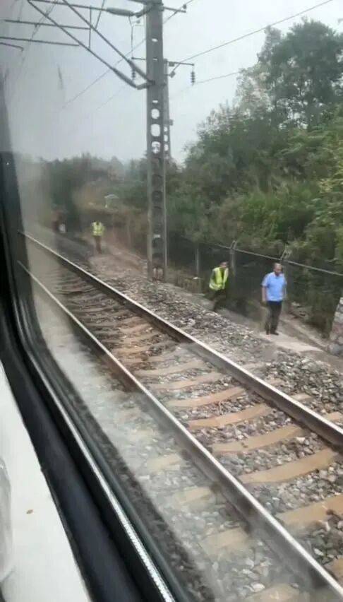 湖北一列车撞上野猪致停运<strong></p>
<p>奥普光电股票</strong>，铁路局：野猪已无害化处理，列车正常运行；附近曾发生多起野猪伤人事件