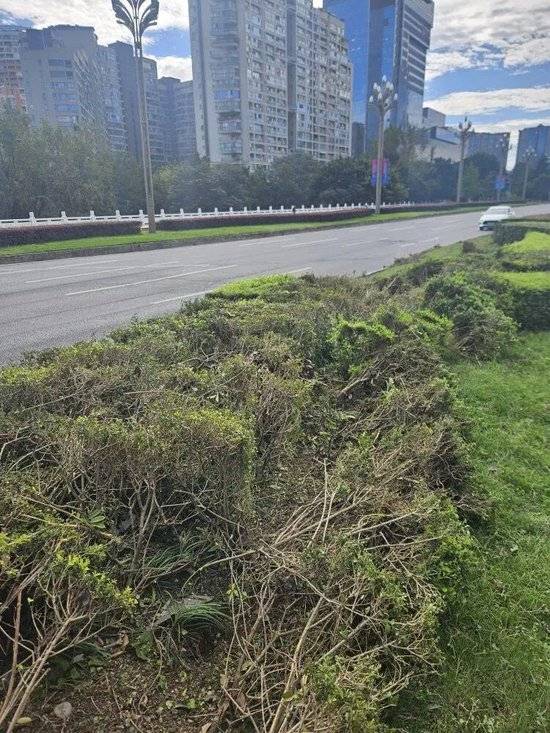 小米汽车失控起火司机遇难<strong></p>
<p>新华百货股票</strong>，目击者称车速150km/h，实探事故地：燃烧留下的印记仍在