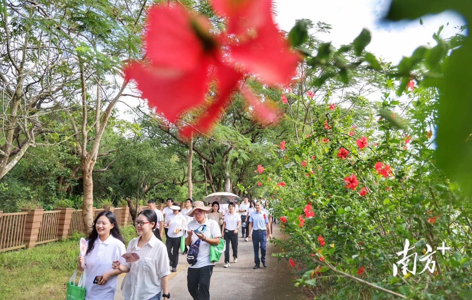 中山城建集团“连心桥”移交<strong></p>
<p>新华百货股票</strong>，村企共建绘就桂南新画卷