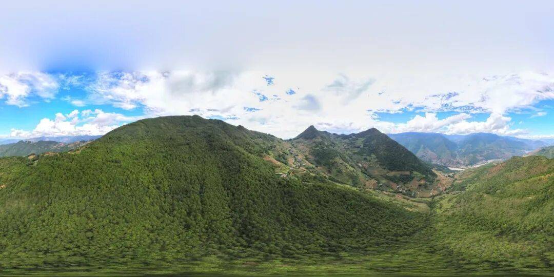 93岁老人进山失联<strong></p>
<p>股票论坛网</strong>,两天后发现他倒挂在树杈上苦撑……