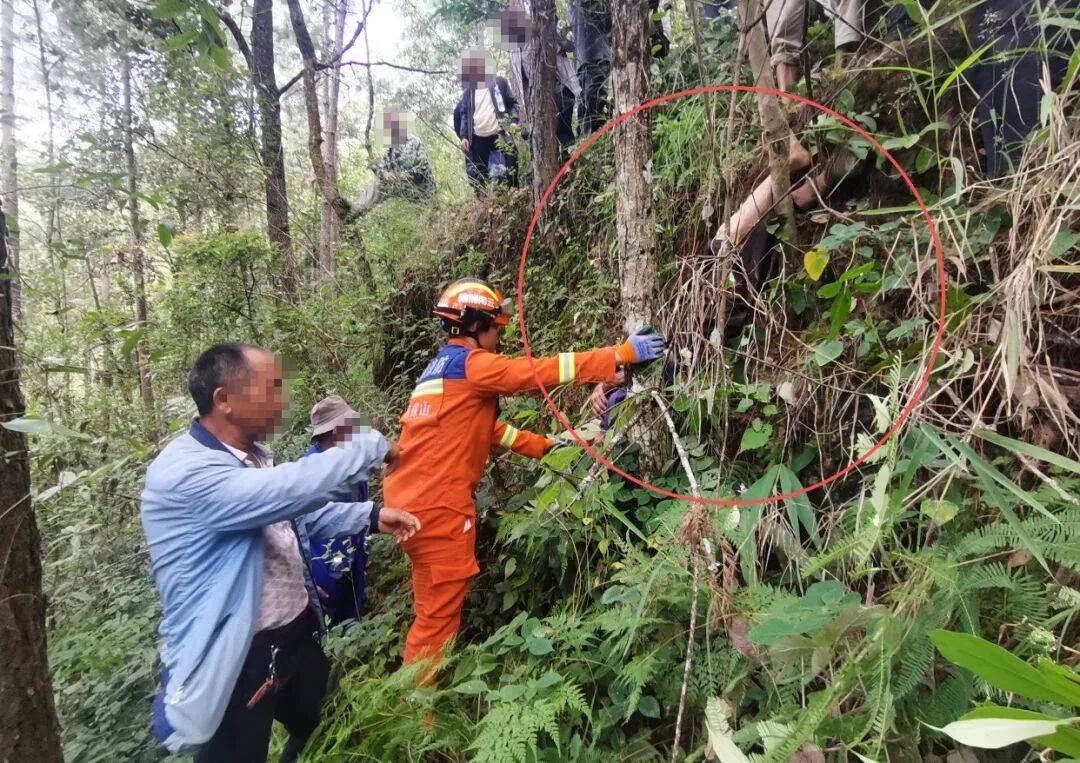 93岁老人进山失联<strong></p>
<p>股票论坛网</strong>,两天后发现他倒挂在树杈上苦撑……