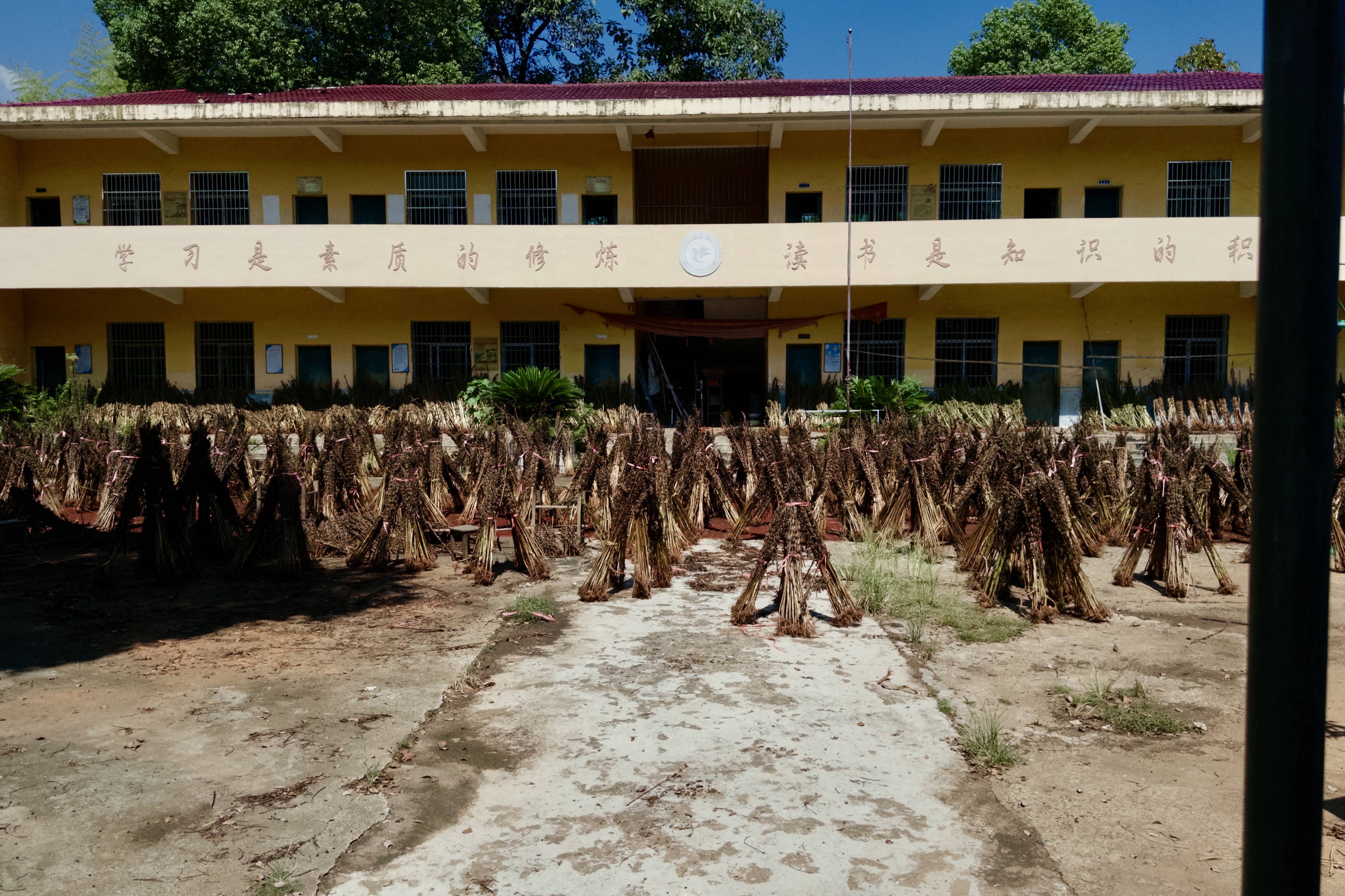 在县城当老师<strong></p>
<p>永鼎股份股票</strong>,没那么吃香了