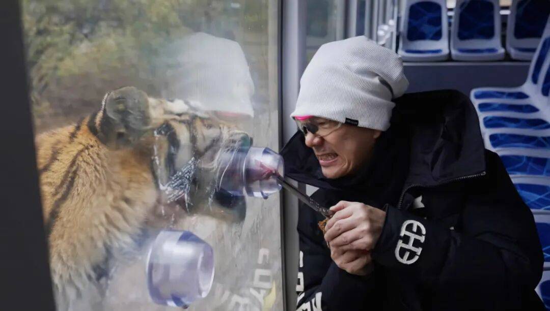 任贤齐打卡的哈尔滨<strong></p>
<p>东晶电子股票</strong>，到底有多好玩？