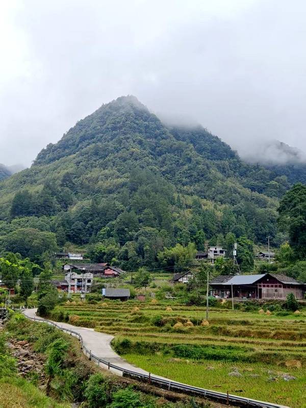 推窗见梯田<strong></p>
<p>云南白药股票</strong>！梧桐山民宿：把日子过成诗