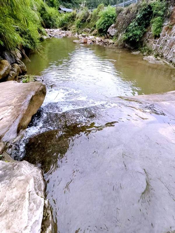 推窗见梯田<strong></p>
<p>云南白药股票</strong>！梧桐山民宿：把日子过成诗