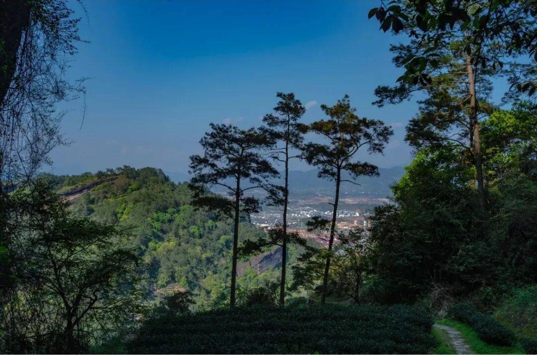 为什么年轻人迷上了爬山？ | 秋高气爽<strong></p>
<p>云南白药股票</strong>，是时候出发了→