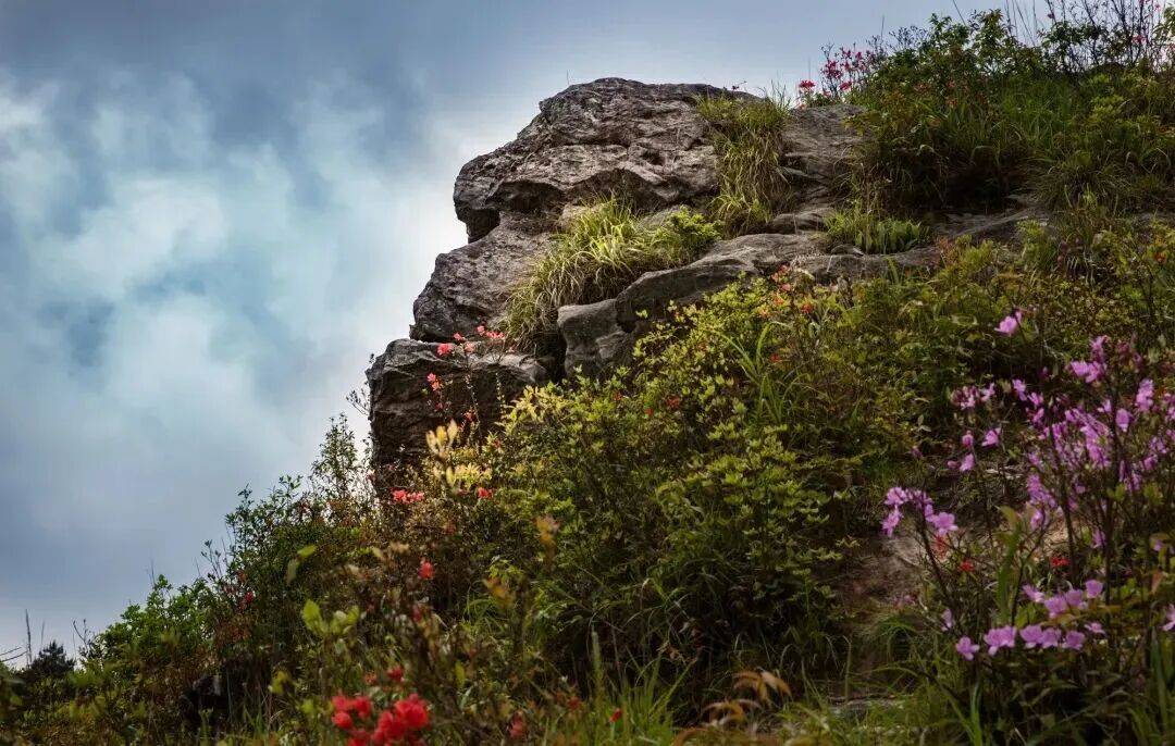 为什么年轻人迷上了爬山？ | 秋高气爽<strong></p>
<p>云南白药股票</strong>，是时候出发了→