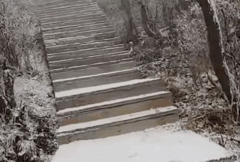 石家庄下雪了<strong></p>
<p>陕西能源股票</strong>！河北雨雪上线！新一股冷空气在路上……