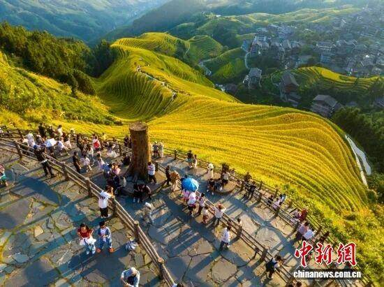 金秋<strong></p>
<p>陕西能源股票</strong>,广西的梯田一点不输!