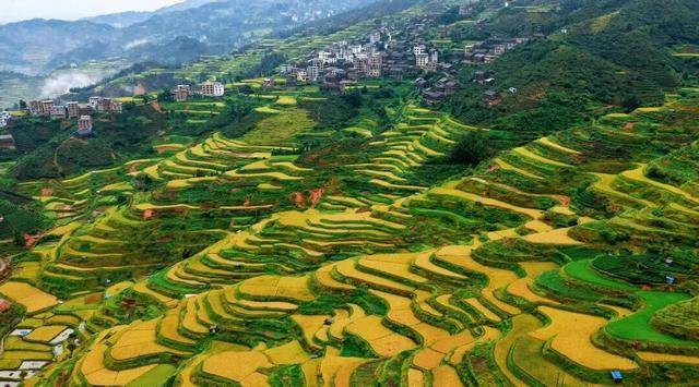 金秋<strong></p>
<p>陕西能源股票</strong>,广西的梯田一点不输!