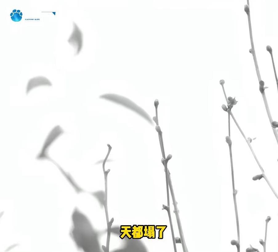 “天塌了<strong></p>
<p>三友化工股票</strong>，我一生都毁了”，男子称养了20年才发现儿子非亲生！前妻坚决否认