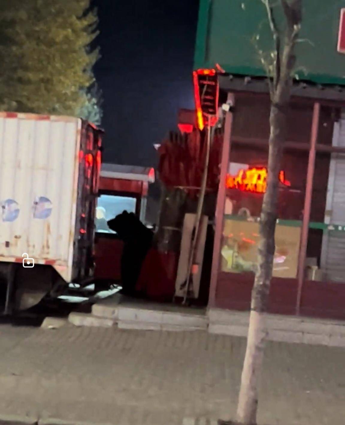 大黑熊夜里独闯黑龙江一县城闹市区<strong></p>
<p>三友化工股票</strong>,警方连开10多枪击毙,回应为何没用麻醉枪