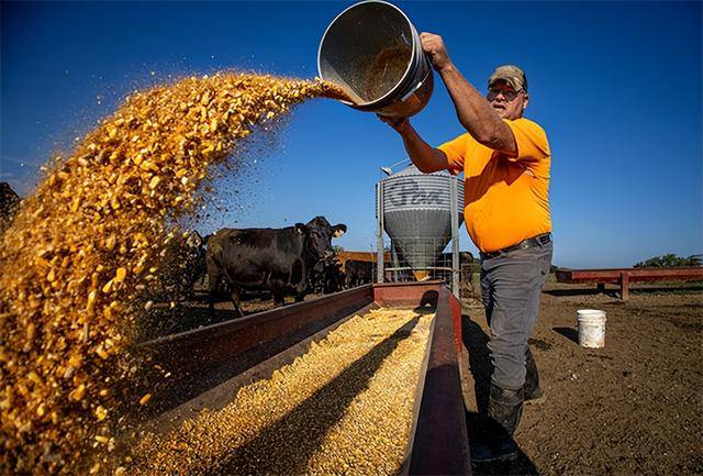 又输给了李成钢<strong></p>
<p>山西汾酒股票</strong>，贝森特承诺：美方不再考虑对华加征100%关税