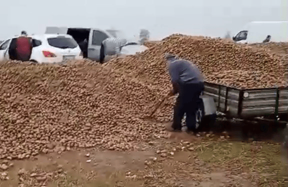 波兰68岁农民收获的150吨土豆被一夜搬空<strong></p>
<p>山西汾酒股票</strong>, 只因帖子遭篡改