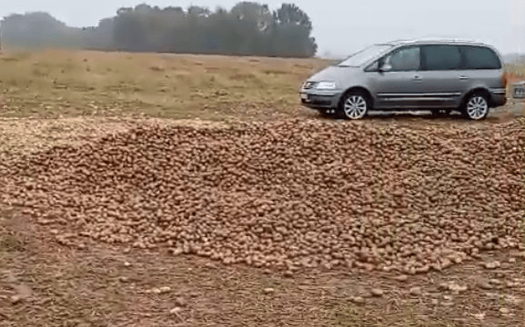 波兰68岁农民收获的150吨土豆被一夜搬空<strong></p>
<p>山西汾酒股票</strong>, 只因帖子遭篡改