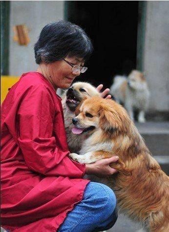 合肥卖房救助流浪狗的魏阿姨离世<strong></p>
<p>吉比特股票</strong>,病中仍然惦记着基地的600只流浪狗,工人:不敢相信世上还有这样执着的人