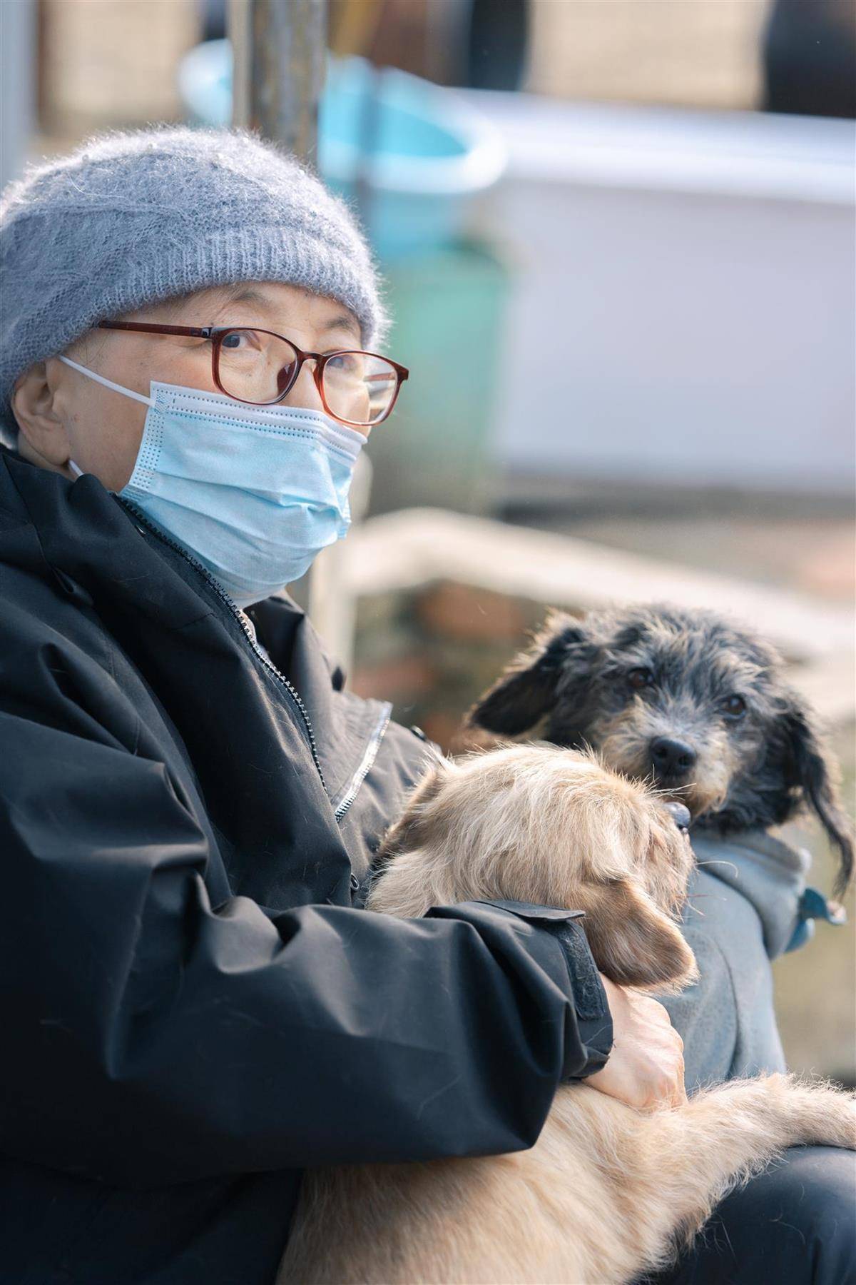 合肥卖房救助流浪狗的魏阿姨离世<strong></p>
<p>吉比特股票</strong>,病中仍然惦记着基地的600只流浪狗,工人:不敢相信世上还有这样执着的人