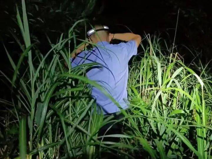 禁止任何形式穿越<strong></p>
<p>奇安信股票</strong>!杭州一地发布最严禁令