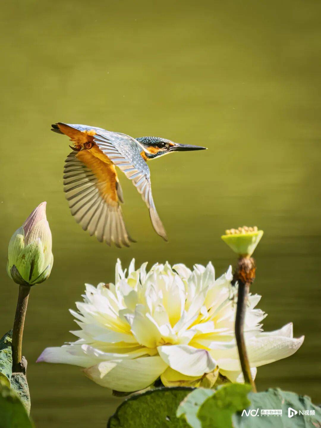 东莞最新发布:将严厉打击这些行为<strong></p>
<p>神州泰岳股票</strong>!