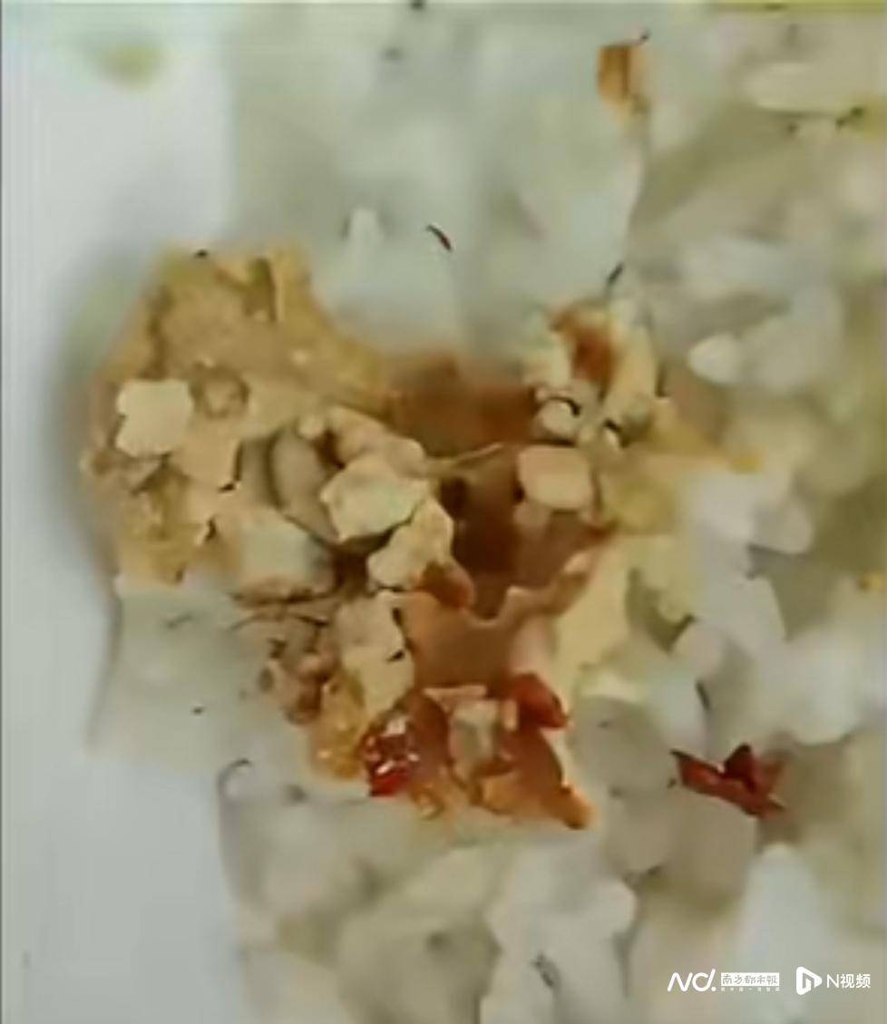 事发佛山<strong></p>
<p>股票软件</strong>！有市民网购的豆腐乳内有蛆虫蠕动