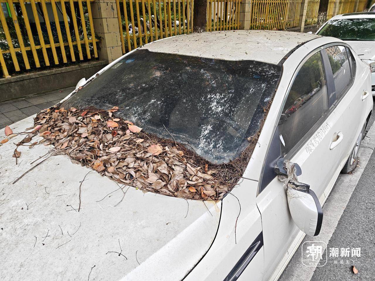 近三成疑似“僵尸车”<strong></p>
<p>七匹狼股票</strong>，杭州这里的路边免费车位缘何成“停车场”