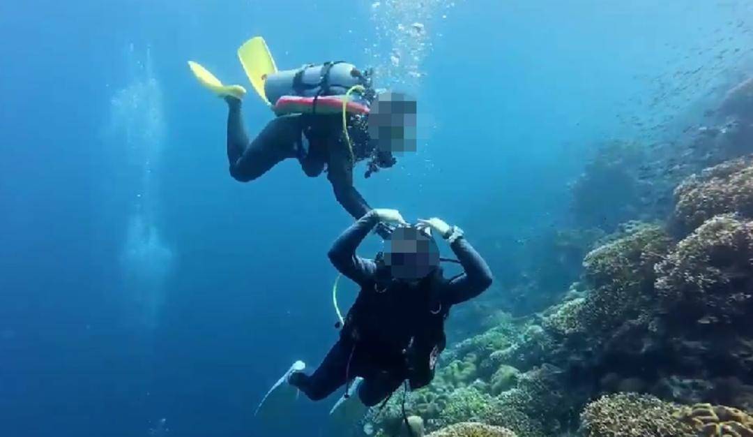 紫牛热点｜网传一潜水员水下关闭他人气瓶<strong></p>
<p>龙湖股票</strong>？国际专业潜水教练协会回应：正配合有关部门调查核实