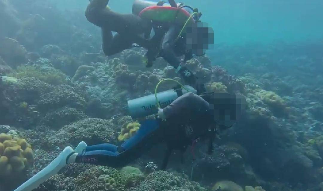 紫牛热点｜网传一潜水员水下关闭他人气瓶<strong></p>
<p>龙湖股票</strong>？国际专业潜水教练协会回应：正配合有关部门调查核实