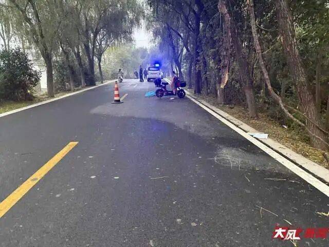 陕西兴平56岁女教师骑电动车“撞树枝”身亡<strong></p>
<p>鄂尔多斯股票</strong>,交警判定担主责,家属提出诸多质疑,多方回应