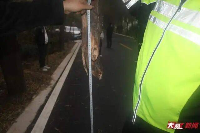 陕西兴平56岁女教师骑电动车“撞树枝”身亡<strong></p>
<p>鄂尔多斯股票</strong>,交警判定担主责,家属提出诸多质疑,多方回应